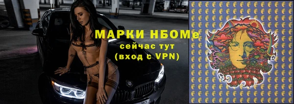 кристаллы Гусь-Хрустальный