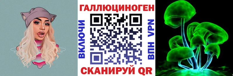 Купить закладки  Курчалой  Псилоцибиновые грибы Magic Shrooms 